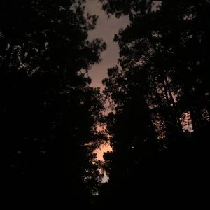 Meet your Posher, Darby